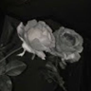 Meet your Posher, Dollar store lydia